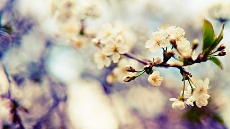 Юные художники подарили Екатеринбургу Весеннее настроение