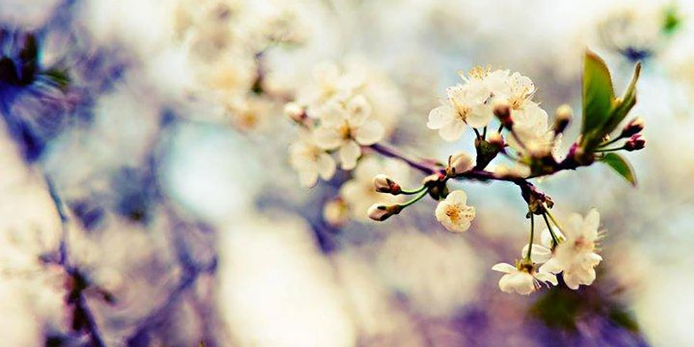 Юные художники подарили Екатеринбургу Весеннее настроение