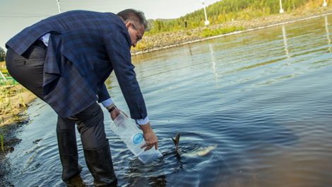 В Волчихинское водохранилище около 8 тысяч мальков толстолобиков