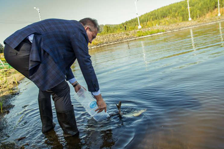 В Волчихинское водохранилище около 8 тысяч мальков толстолобиков