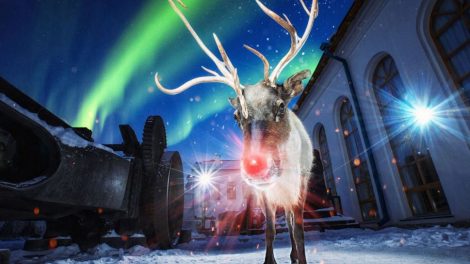 В небе над Екатеринбургом зарегистрировали северное сияние, а на плотинке был замечен олень.
