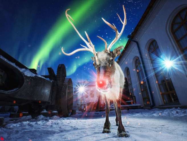 В небе над Екатеринбургом зарегистрировали северное сияние, а на плотинке был замечен олень.