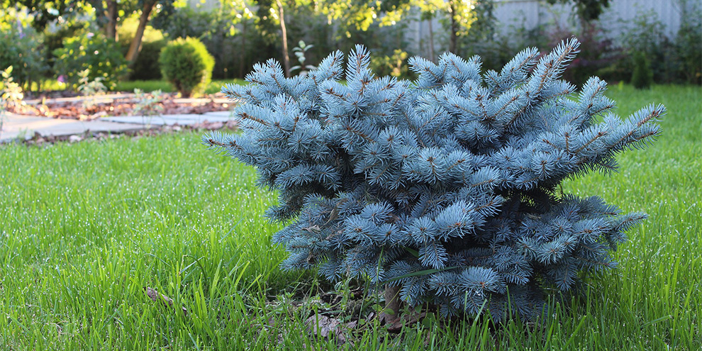 Сквер Оперного театра, Зеленую рощу и набережную Исети благоустроят в этом году