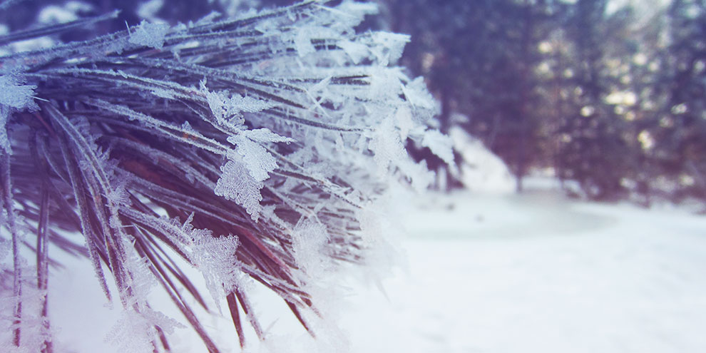 В начале недели ожидаются похолодания до -30 градусов