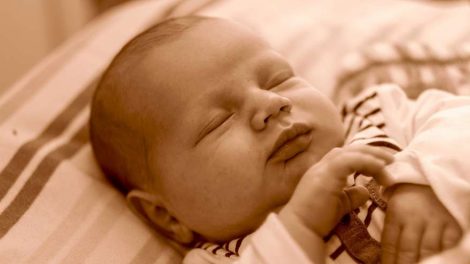 Представители кризисных центров и приютов соберутся в Екатеринбурге