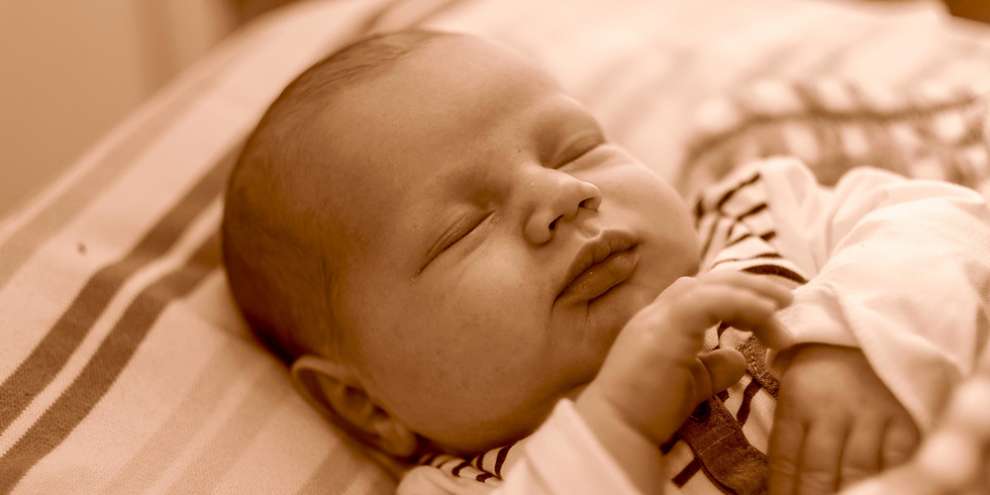 Представители кризисных центров и приютов соберутся в Екатеринбурге