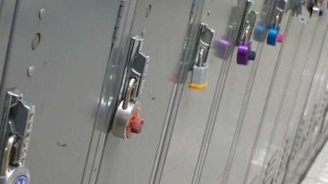 На фестивале болельщиков FIFA в ЦПКиО будут работать камеры хранения