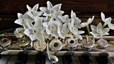 Два джазовых фестиваля Свердловской области вошли в ТОП-10 по стране