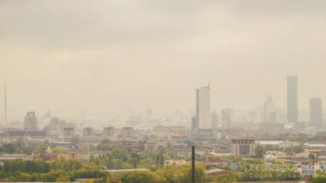 Мексиканцы сыграют со шведами в екатеринбургском смоге