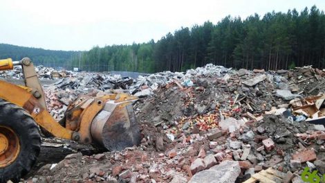 Полторы тонны яблок закопали в Свердловской области