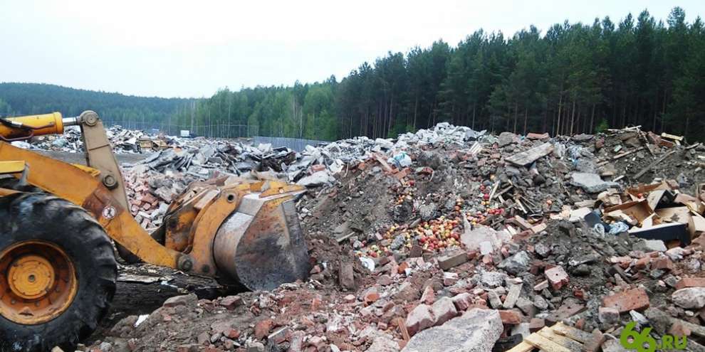 Полторы тонны яблок закопали в Свердловской области