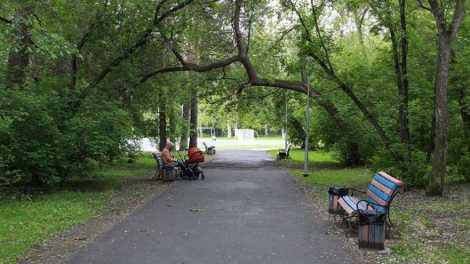 Жители требуют остановить застройку парка Зеленая роща