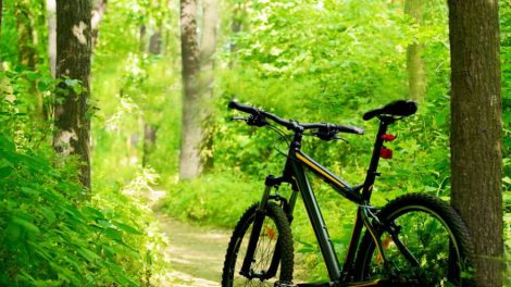 Веломагистраль-2018: полный маршрут