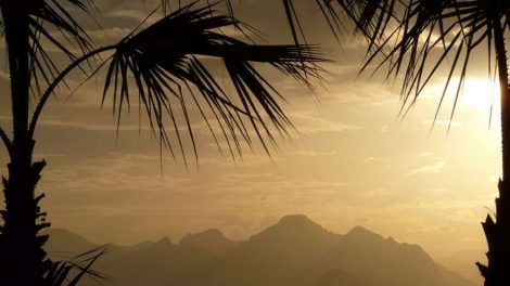 Екатеринбургские туристы отправятся в Анталью с опозданием на 8 часов