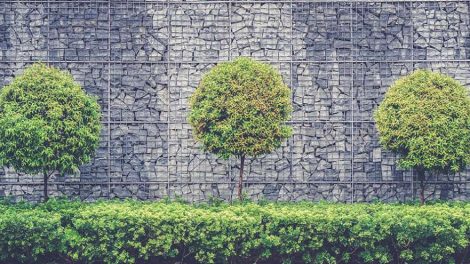 Дизайнеры из российских регионов создадут в Екатеринбурге 15 парков