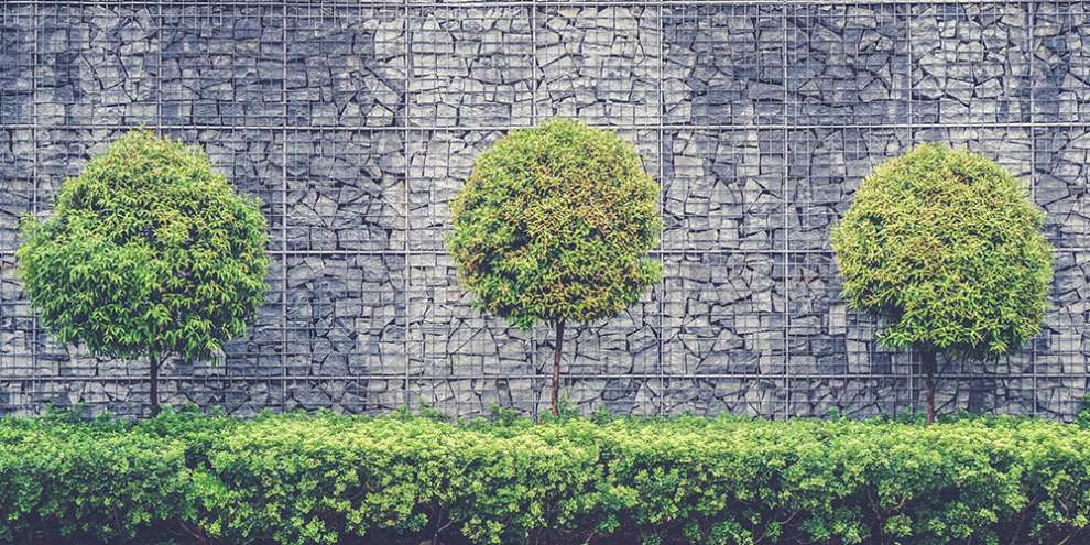 Дизайнеры из российских регионов создадут в Екатеринбурге 15 парков