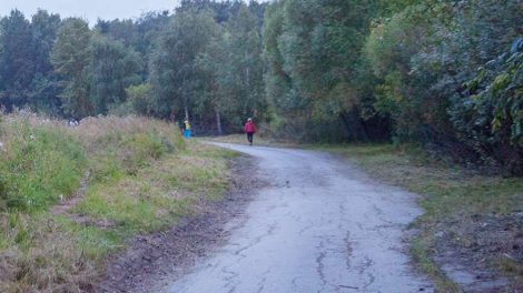 На благоустройство Шарташского лесопарка выделят свыше 230 млн. рублей