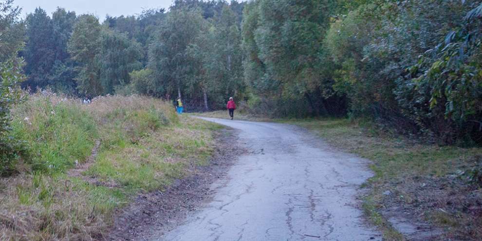 На благоустройство Шарташского лесопарка выделят свыше 230 млн. рублей