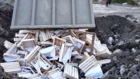 В Екатеринбурге уничтожили 18 тонн запрещенных фруктов