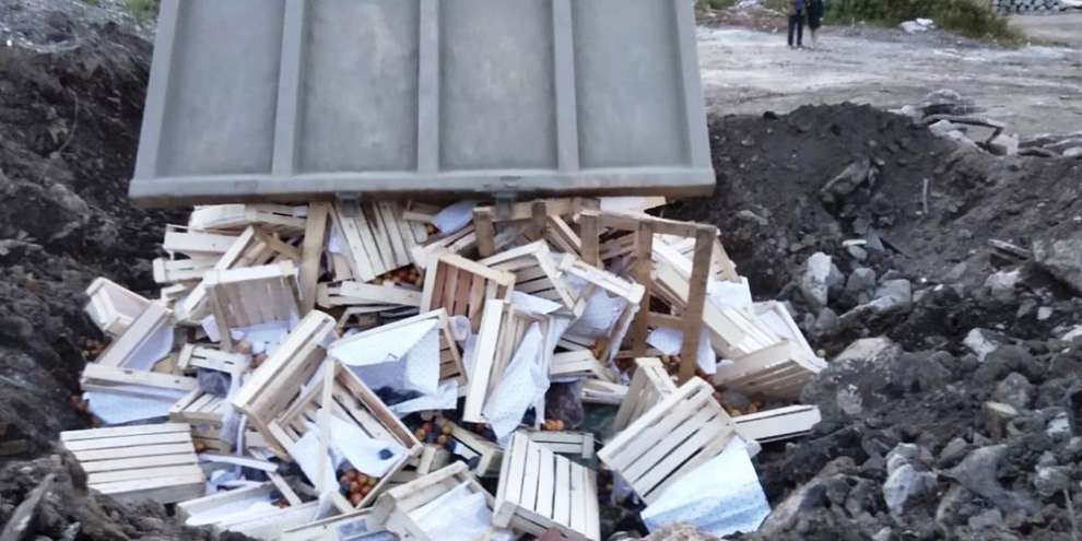 В Екатеринбурге уничтожили 18 тонн запрещенных фруктов