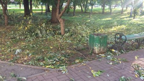 В Екатеринбург идет ураган