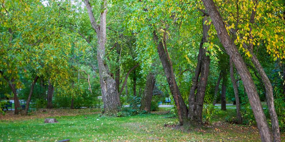 Аллея Героев появится сегодня в Харитоновском парке