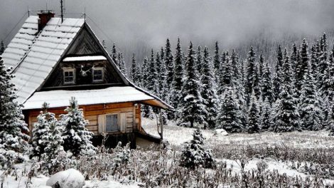 В Свердловской области подорожали коттеджи