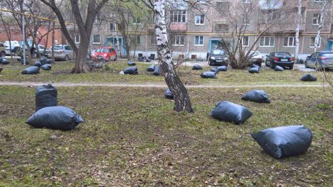 Мусорную реформу вновь перенесли на два месяца