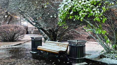 Всю неделю в Екатеринбурге будет идти мокрый снег