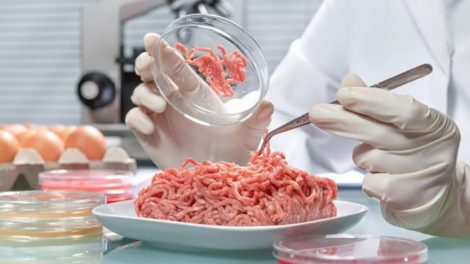 Нарушение санитарных норм обнаружены в большинстве школьных столовых