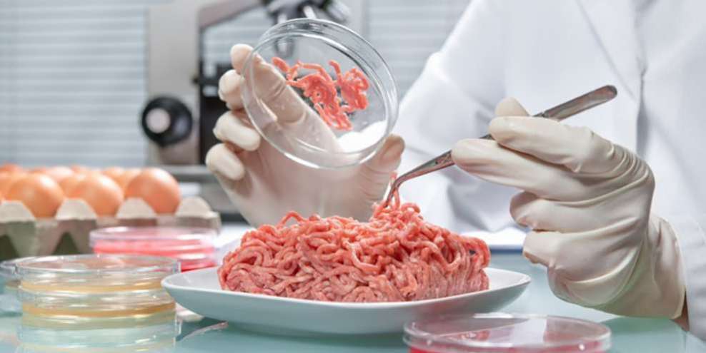 Нарушение санитарных норм обнаружены в большинстве школьных столовых