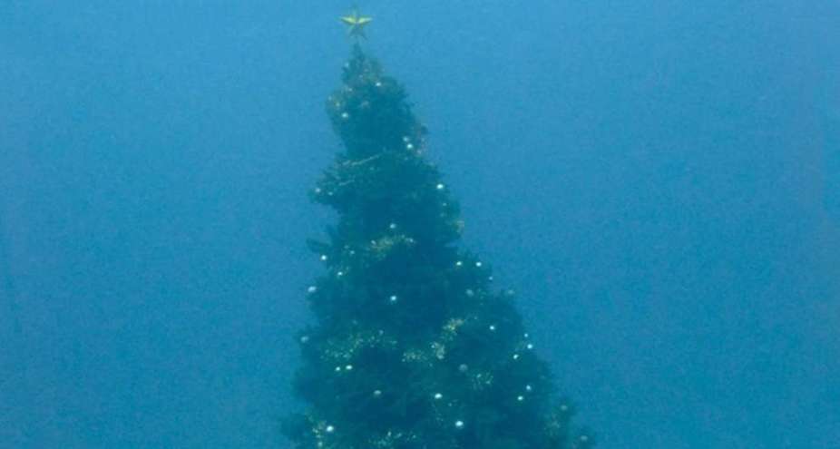 Челябинцев призвали утопить новогодние елки в водохранилище