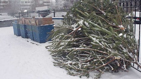 ФАС начала проверку РЭК из-за мусорных тарифов