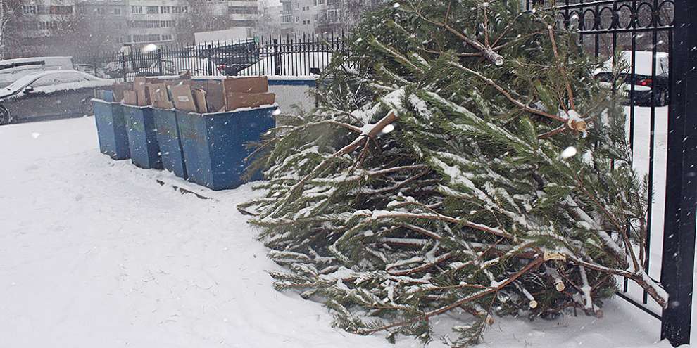 ФАС начала проверку РЭК из-за мусорных тарифов