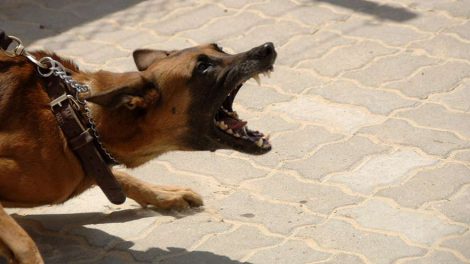 В Госдуму вносят новый закон против оскорблений в Сети