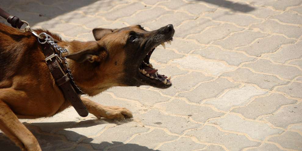 В Госдуму вносят новый закон против оскорблений в Сети