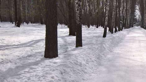 В Екатеринбурге в сквере на Ясной появится площадка для скейтеров
