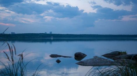 Минприроды не может найти подрядчика для благоустройства Шарташского лесопарка