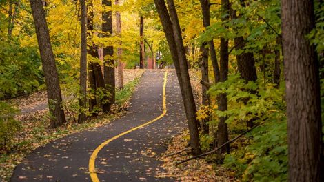 Строительство велодорожек в Шарташском лесопарке начнется в мае