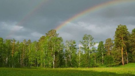 «Бажовские места» увеличат на 23 тыс. гектаров