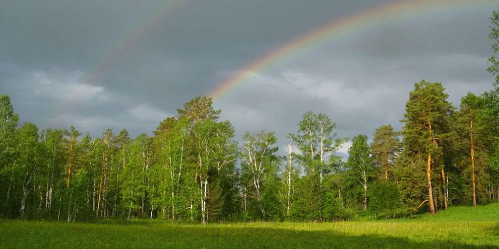 «Бажовские места» увеличат на 23 тыс. гектаров