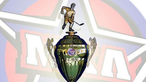 В Екатеринбурге впервые проведут Кубок Харламова