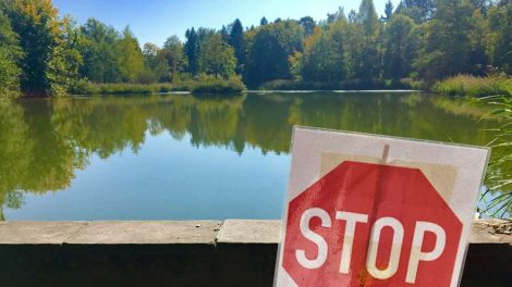 С начала лета в России начнет действовать ряд новых законов