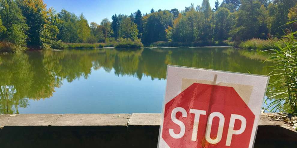 С начала лета в России начнет действовать ряд новых законов