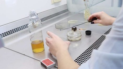 Составлен рейтинг востребованных профессий будущего