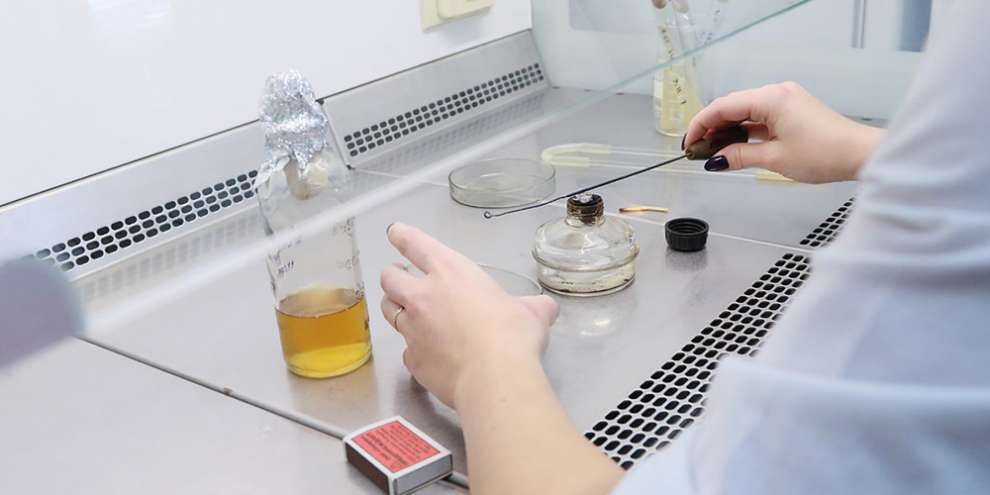 Составлен рейтинг востребованных профессий будущего