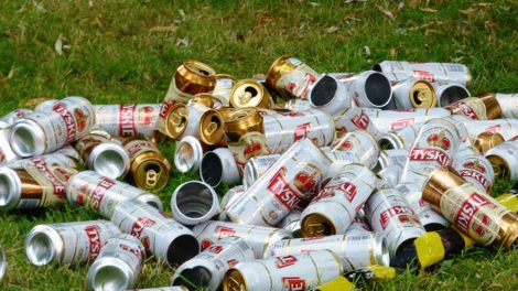 В России ввели крупные штрафы при обращении с мусорными отходами