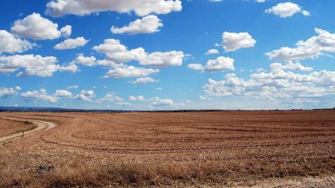 Forbes составил рейтинг 20 крупнейших российских землевладельцев