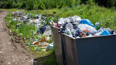 Названы регионы-лидеры по мусорным отходам