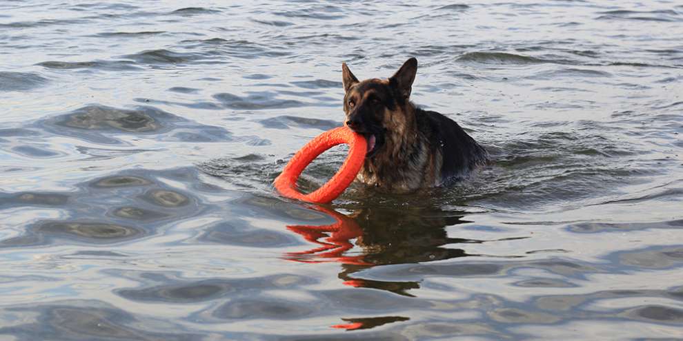 На проект по очистке Шарташа выделят 8,5 млн. рублей